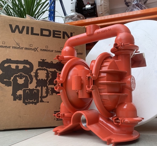 Máy Bơm Màng Wilden