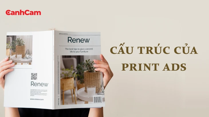 cau_truc-1 cấu trúc của print ads