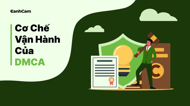 Tìm hiểu cơ chế vận hành của DMCA