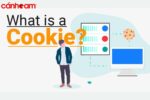 Cookies là gì? Cookie là các file lưu trữ thông tin người dùng trên trình duyệt