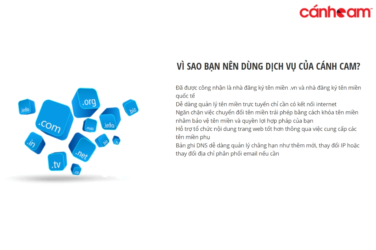 Ưu điểm vượt trội của dịch vụ đăng ký tên miền tại Làm Web PRO Agency