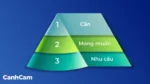 Phân tích nhu cầu thị trường