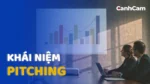 Pitching là gì