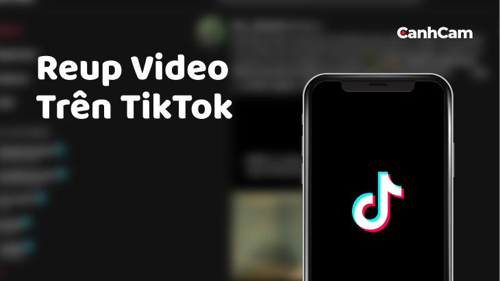 reup_04-1 Reup video trên TikTok