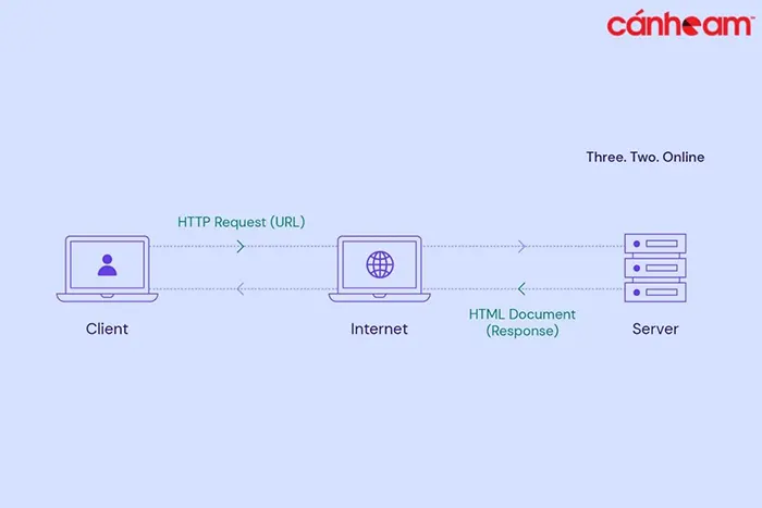 server-la-gi_06-1 Server Web được sử dụng để lưu trữ dữ liệu và thông tin trên các trang web