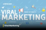 Viral Marketing là gì