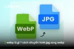 WebP là một trong số định dạng ảnh phổ biến hiện nay